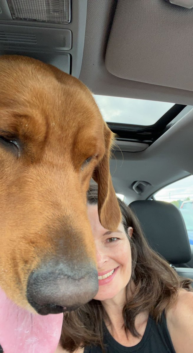 Doreen Rabi, M.D. tweet media