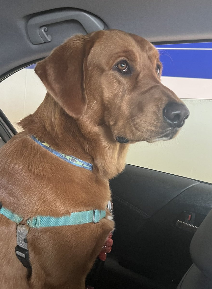 Doreen Rabi, M.D. tweet media