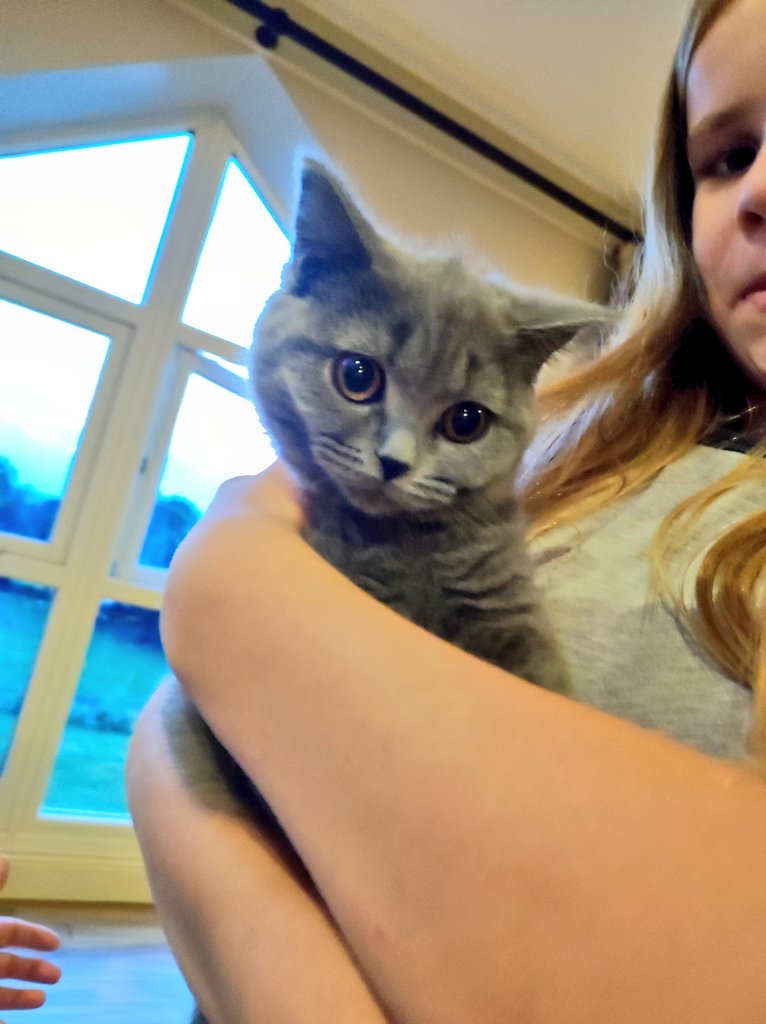 Everyone, say hello to Lola and Mitch.