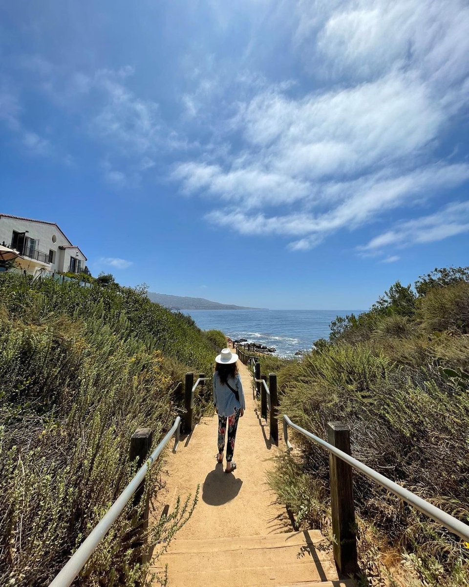 TerraneaResort's tweet image. Take a walk on the oceanside. #Terranea
#Travelgram 📷: @mindypoder
