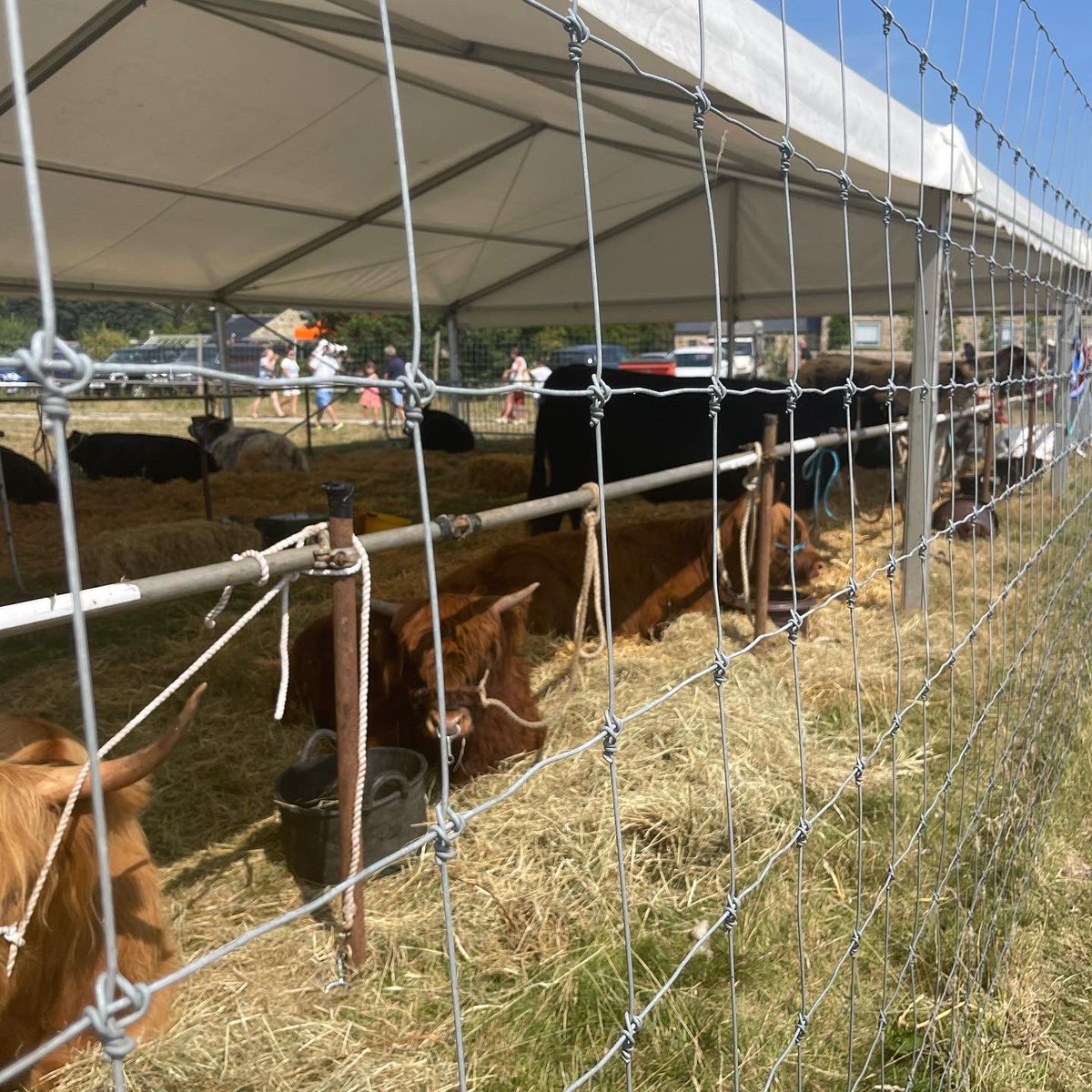 FCN NORTH tweet media