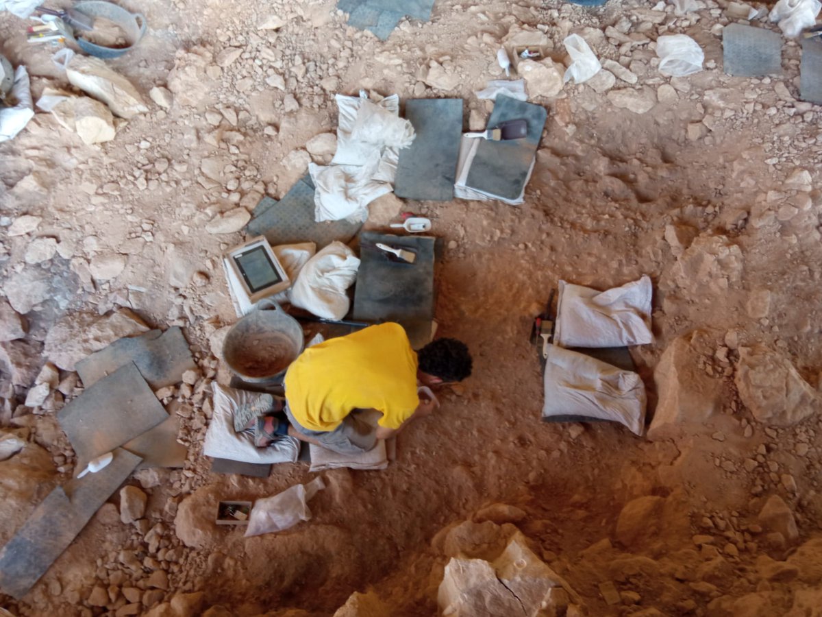 larocadelsbous's tweet photo. Continuem amb la campanya d'excavació a la Roca dels Bous! #territorineandertal #noguera #neandertals #fogueres #paleolíticmig #excavant #workinprocess
@cepapuab @UABBarcelona @Prehistoria_UAB https://t.co/GlDD79iBLw