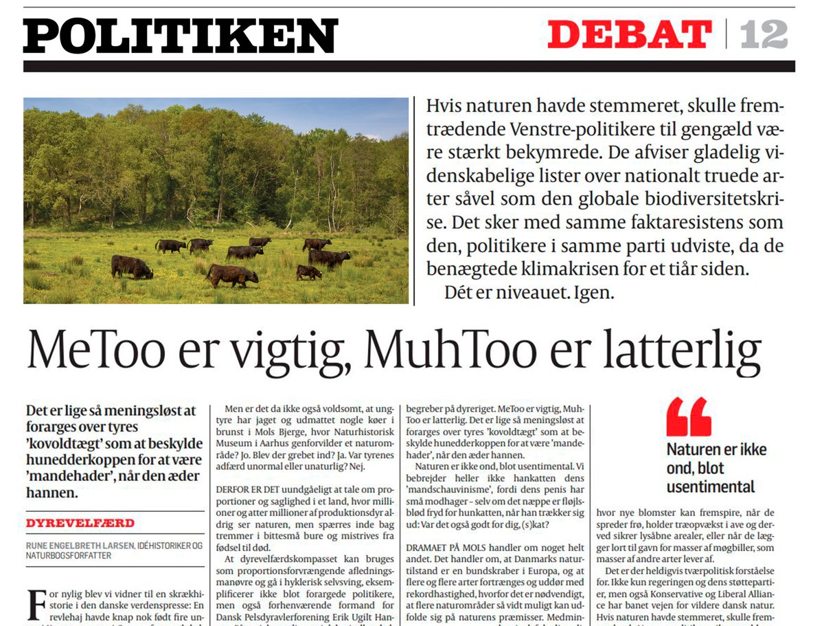 KO-'VOLDTÆGT'-forargelsen er meningsløs og hyklerisk. Ungtyrenes adfærd i rewildingprojektet på Mols finder sted hver eneste dag i naturen - OG i stalde og på marker. Men genforvildet natur tilgodeser dyrenes behov modsat produkionsdyrs mistrivsel: tinyurl.com/yckpcymd #dkpol
