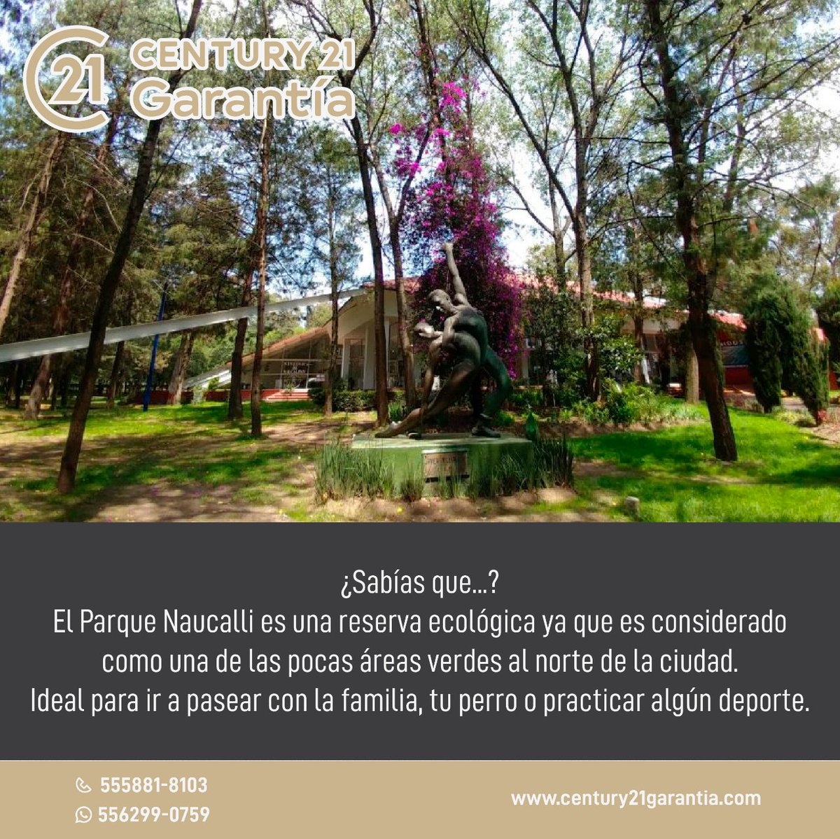 Century 21 Garantía tweet media