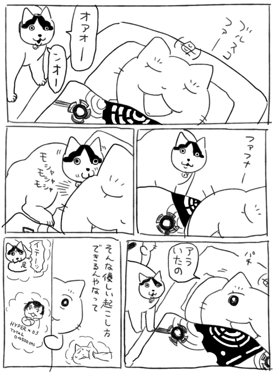 いつもの 