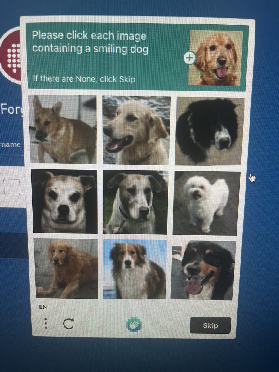 LeighMinuk's tweet photo. Trying to recover my password on @ERSpublications and this is the CAPTCHA that was generated. A selection of smiling dogs is the kind of energy we all need. 💕 #thatsagoodboy #MedTwitter https://t.co/GIkbJx1W9S