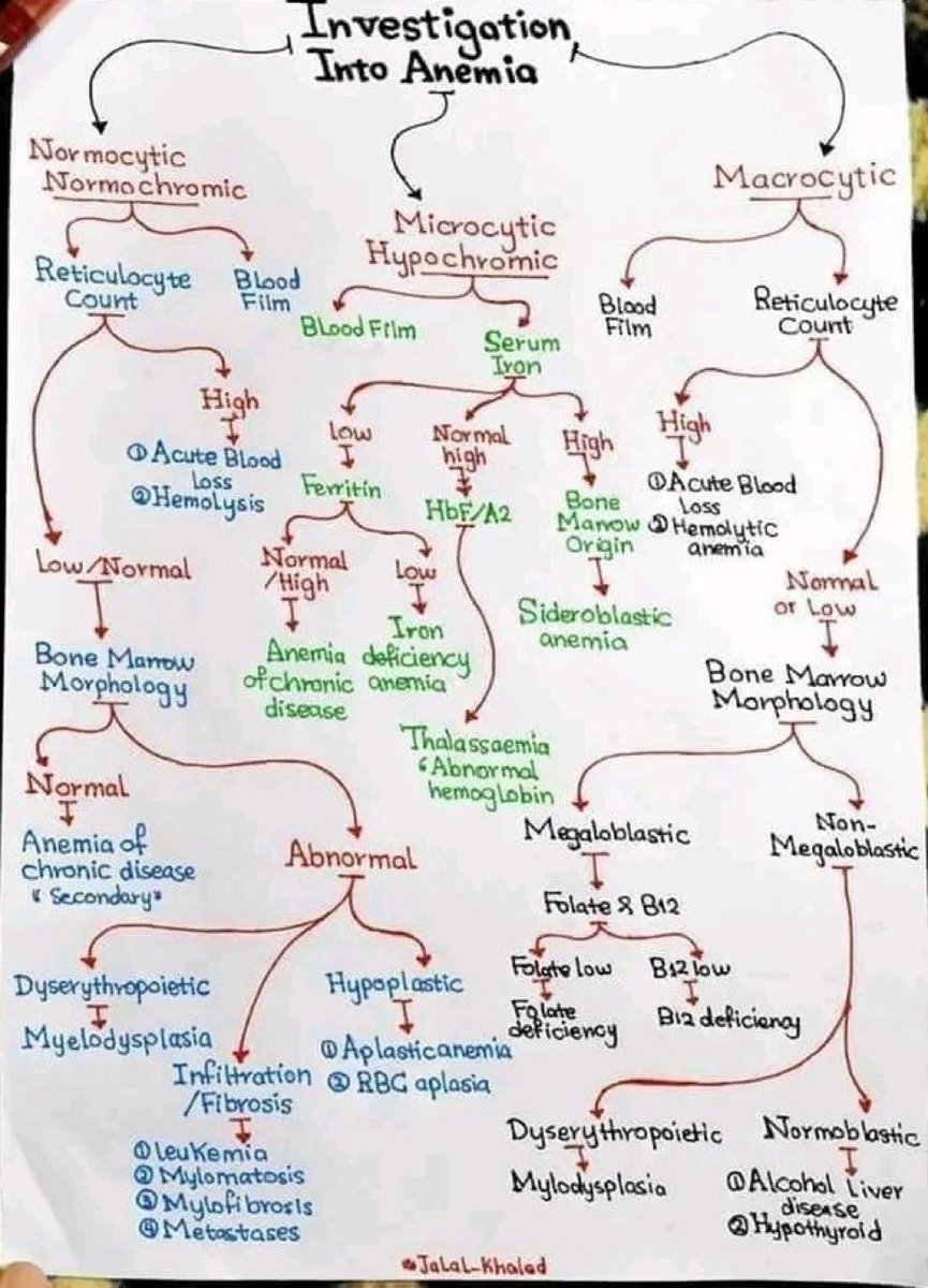 أخصائي مختبر tweet media