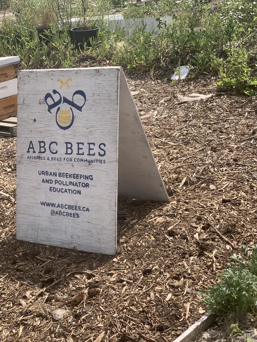 TannisBaker1's tweet photo. Highfield urban gardens in Calgary has a weekly compost club if you are looking to learn more about backyard composting!  So many helpful hints! @OpenFarmDays https://t.co/NDb5NYmtFc