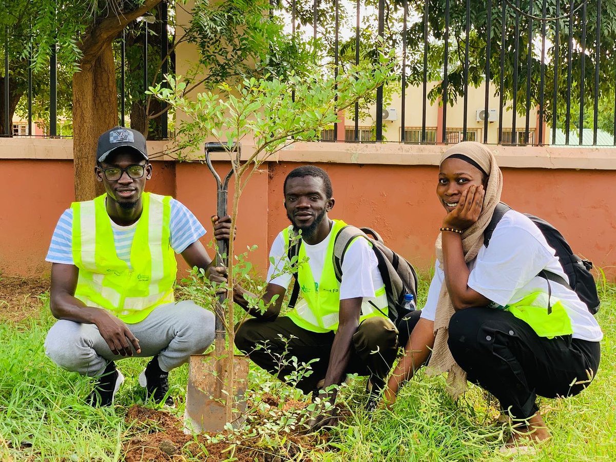 helpgambia1's tweet photo. We joined @GreenGambia today to plant #UmbrellaTrees along the MDI-UTG fence line as part of the 2022 #SummerGoGreen Campaign. We are proud to be associated with this initiative and call for more public support.
#FromPlantingToGrowing #SummerGoGreen #HELPGAMBIA #ClimateAction https://t.co/4iKJvOSjsf