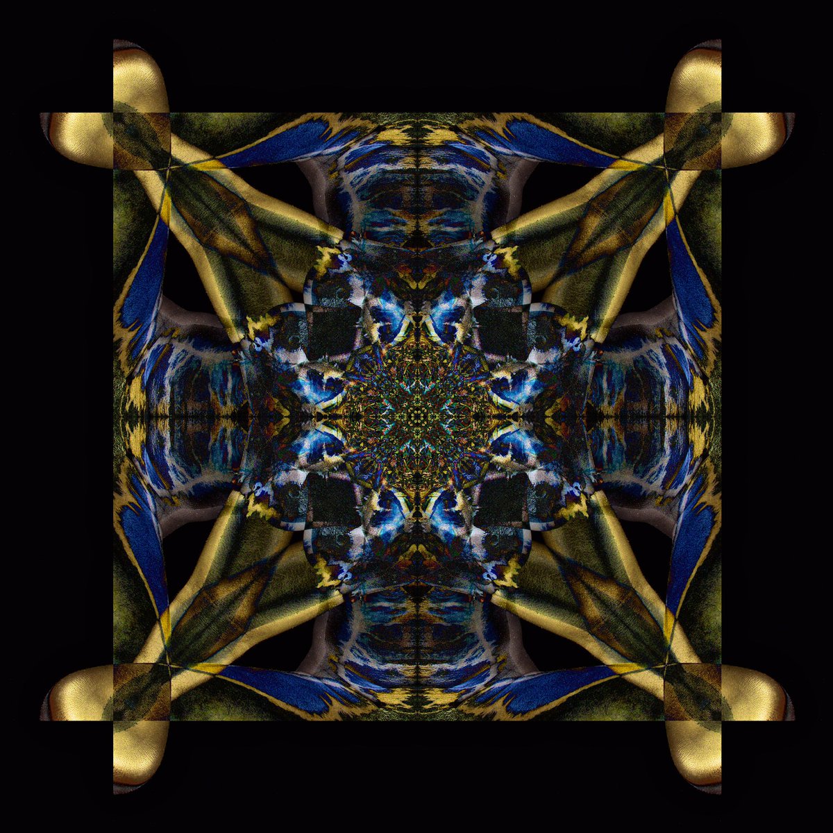 transflexions's tweet photo. https://t.co/yA590jTL4M