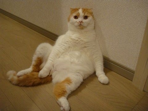 Cranky (@crankyvt) on Twitter photo 