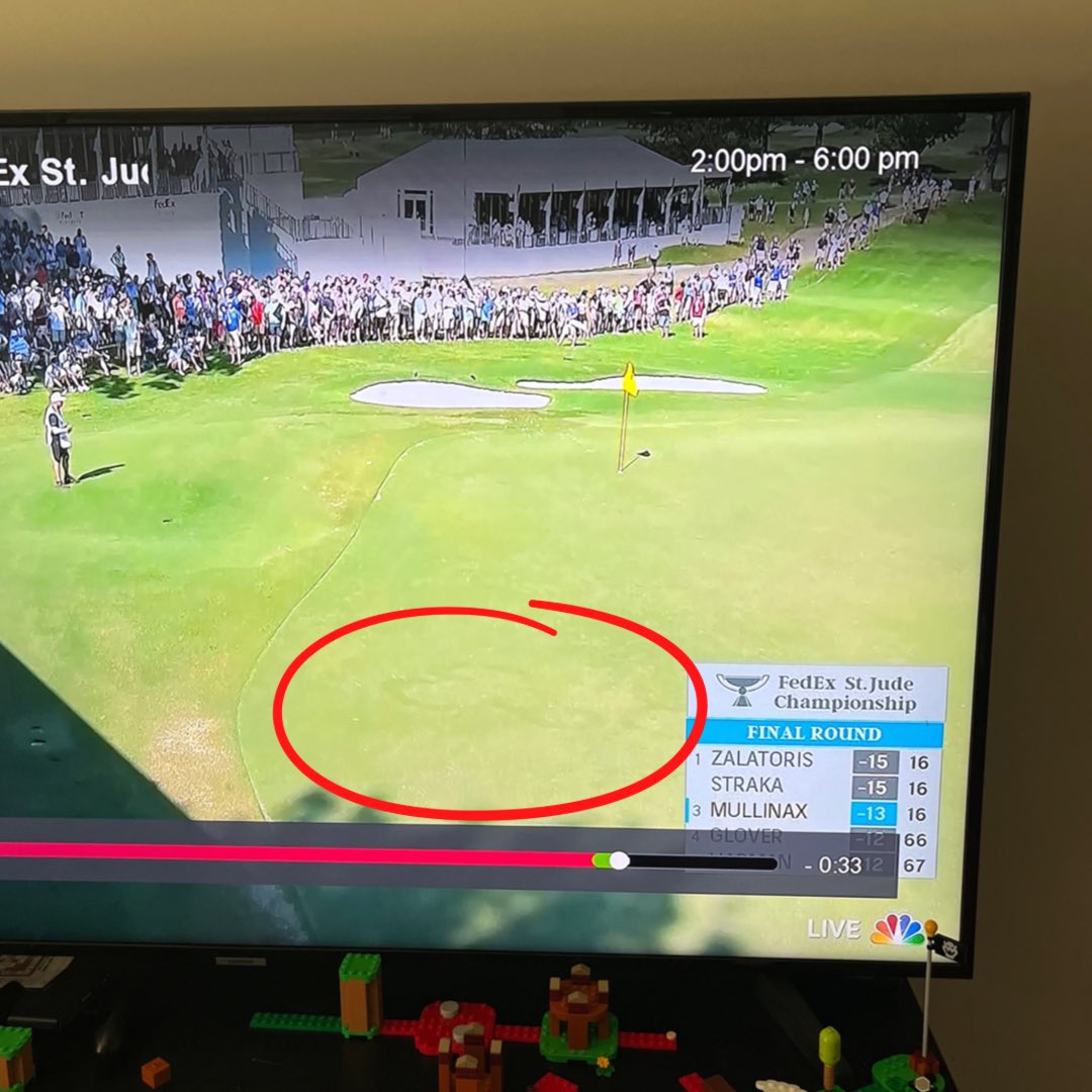 Shauna Wilde Golf tweet media