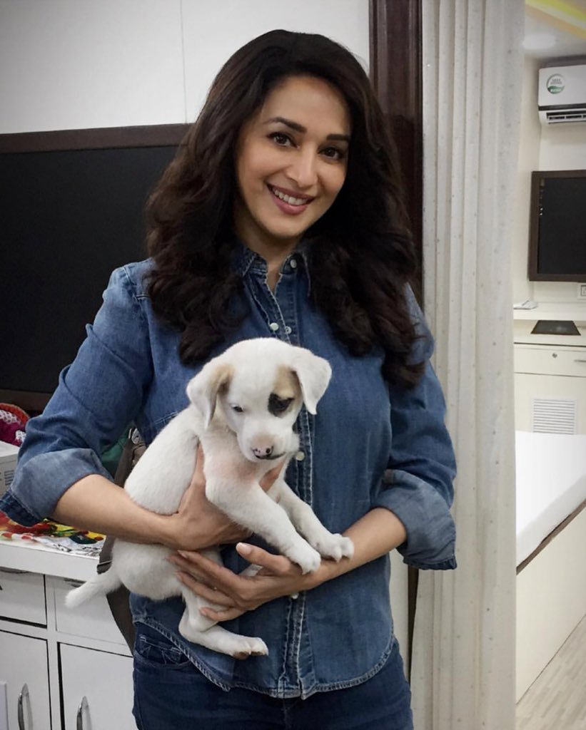 madhuridixitt's tweet photo. My cute pup https://t.co/LXuqadzHNb