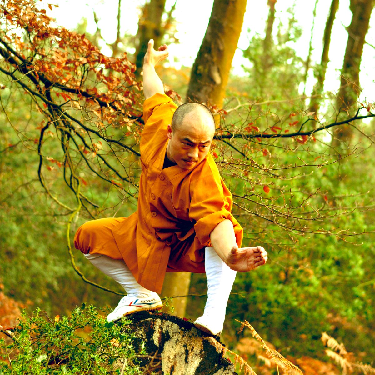 ukshaolin's tweet photo. Shaolin Black Tiger workshop is coming on 24th September at @ukshaolin centre. Run by master @shiyanming . Full information is coming soon so check back for more.
#blacktiger #tigerfist #kungfu #wushu #shaolin #shaolinkungfu #martialarts #fiveanimals #ukshaolin https://t.co/EoSFKhUmbM