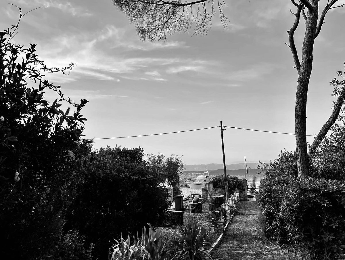 ste_winkler's tweet photo. #beautifulcroatia #ždrelac https://t.co/S8iZy800BV