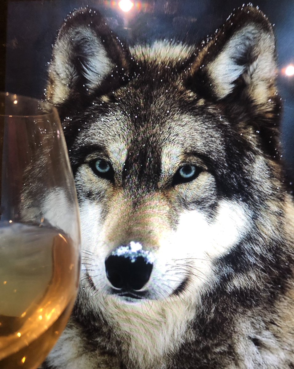 davidjbrodie's tweet photo. 2 BK’s dispatched & onto to something new, citric (massively), and lupine! Ggrrrrrrrr @wolfburn_whisky #lemonbomb https://t.co/4KxM8vECA1