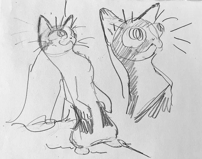 cat(s)s studies 