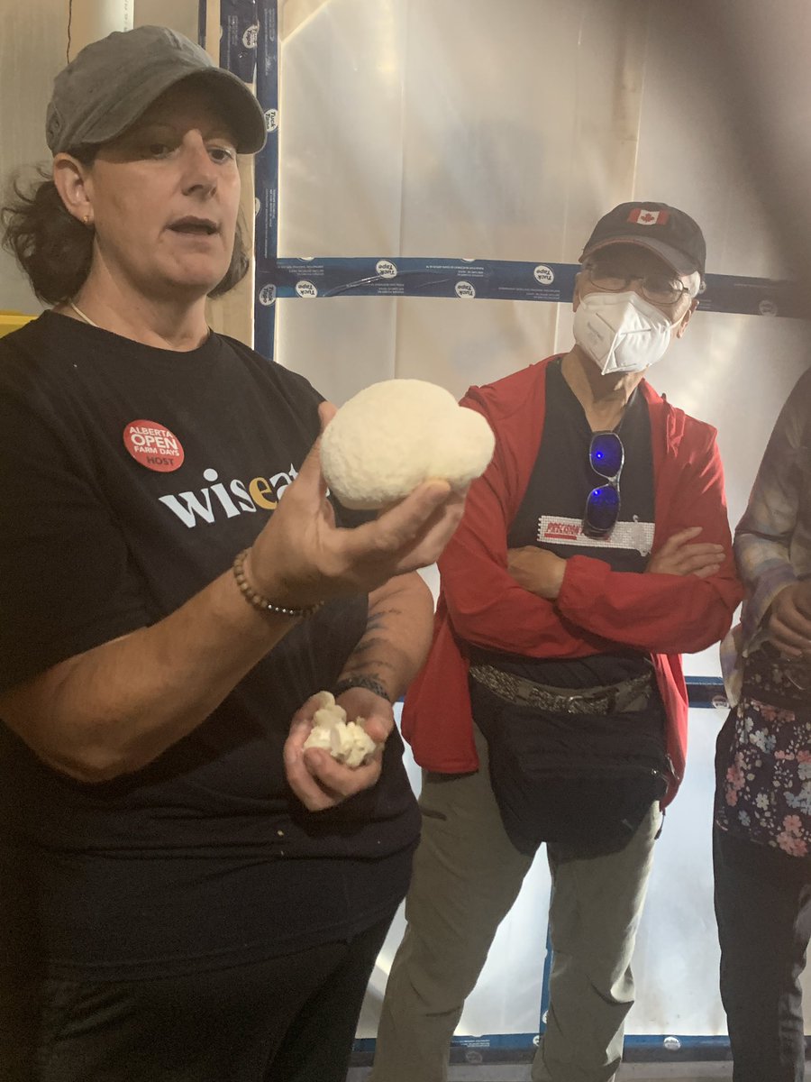 Have you checked out Wiseats mushrooms- great informative tour for <a href="/OpenFarmDays/">Open Farm Days</a>