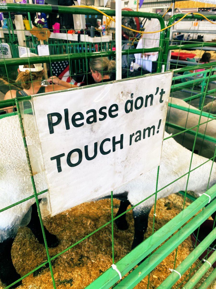 hankgreen's tweet photo. The best signs I’ve seen this week. https://t.co/mhh33Ycqg9