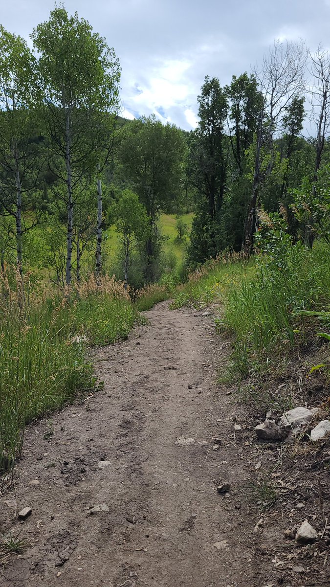 TheRealShadough's tweet image. Awsome overnight backpacking trip!!
#packpack #camping