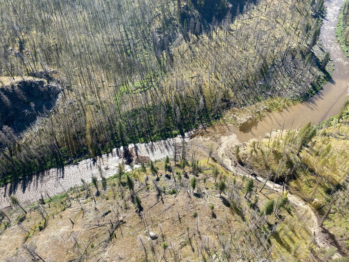 salmonchallisnf's tweet photo. A debris flow from Ramshorn Creek has entirely obstructed the Middle Fork of the Salmon River (MRSR) four (4) miles downstream of Boundary Creek Boat Launch.
Downstream of the debris flow, other log jams have fully obstructed the MFSR.
More info --> https://t.co/3OxfbMl9sz https://t.co/6Vvx0faipp