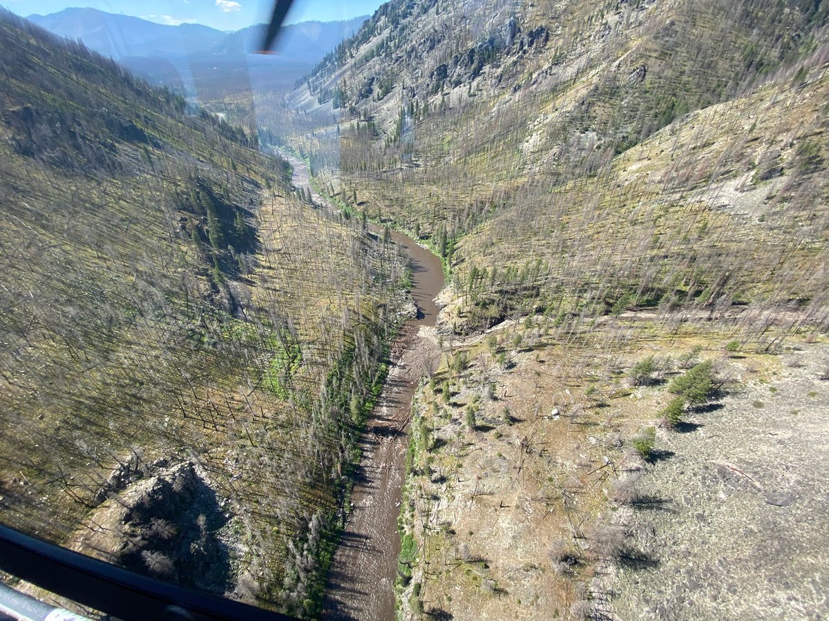 salmonchallisnf's tweet photo. A debris flow from Ramshorn Creek has entirely obstructed the Middle Fork of the Salmon River (MRSR) four (4) miles downstream of Boundary Creek Boat Launch.
Downstream of the debris flow, other log jams have fully obstructed the MFSR.
More info --> https://t.co/3OxfbMl9sz https://t.co/6Vvx0faipp