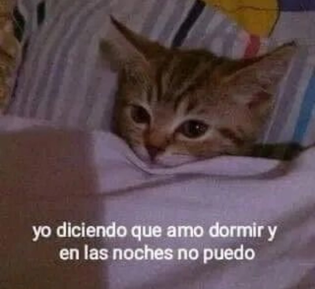 skereunpesado's tweet photo. https://t.co/QRcLscJVYl