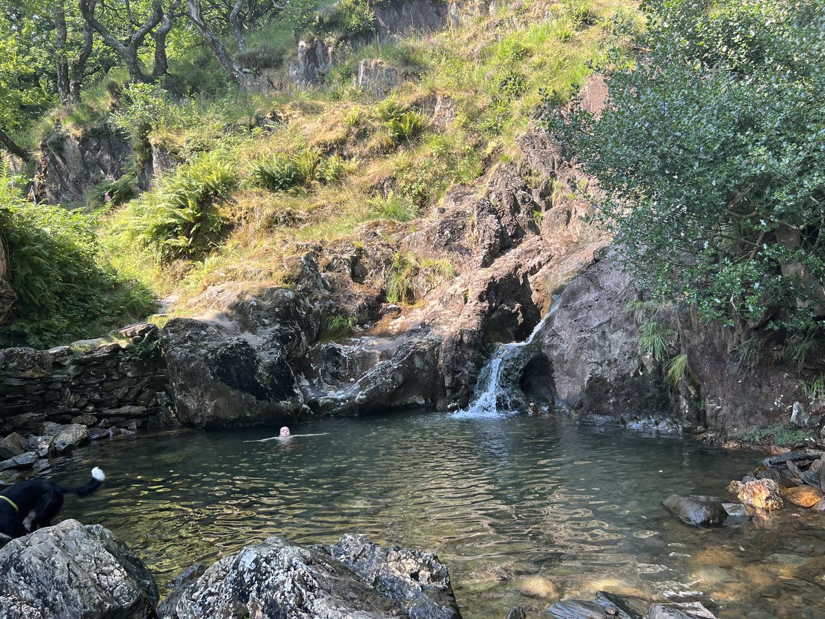 Tim Payne tweet media