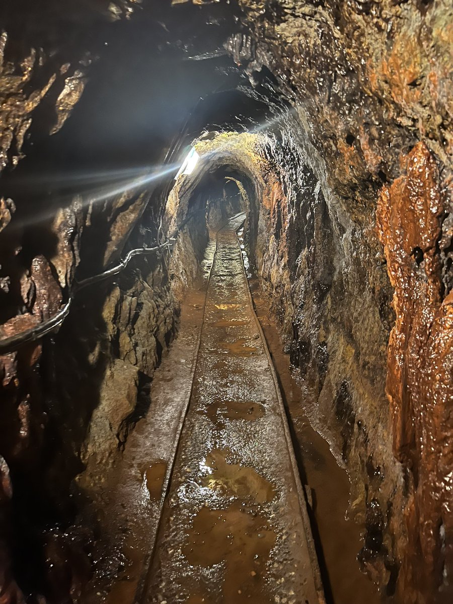 Tim Payne tweet media