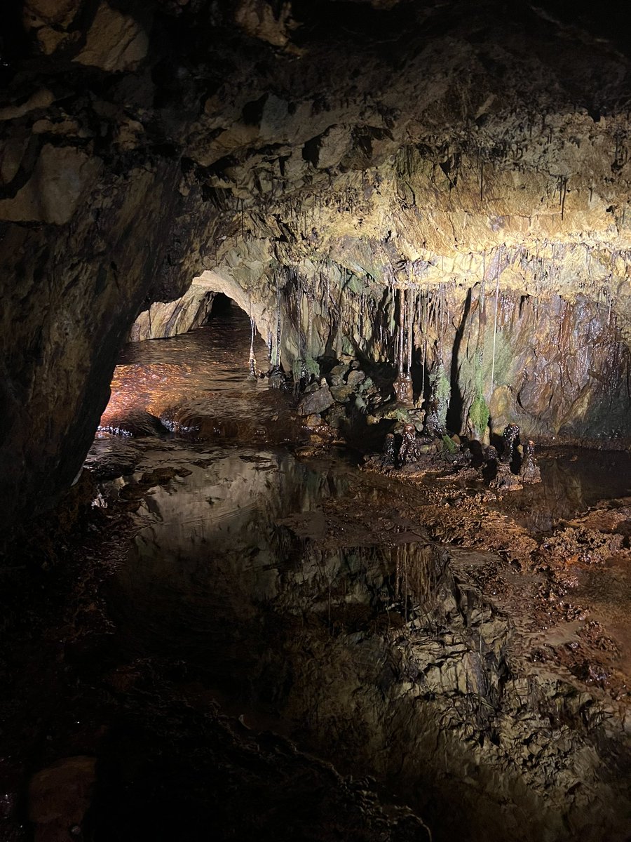 Tim Payne tweet media