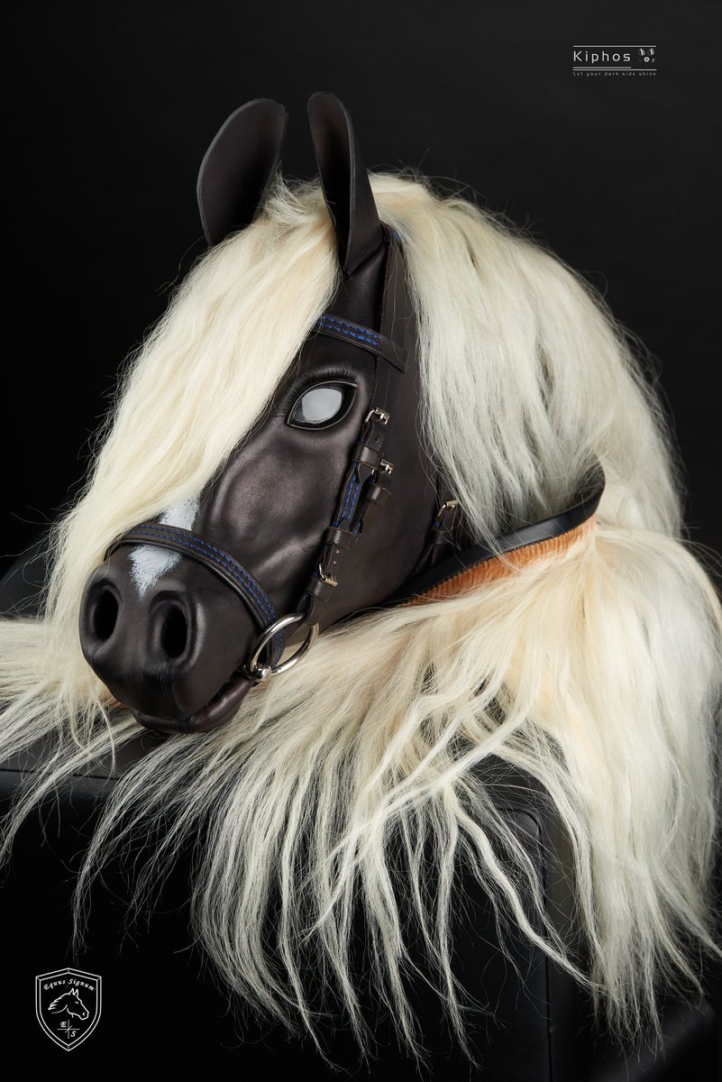 Equus Signum tweet media