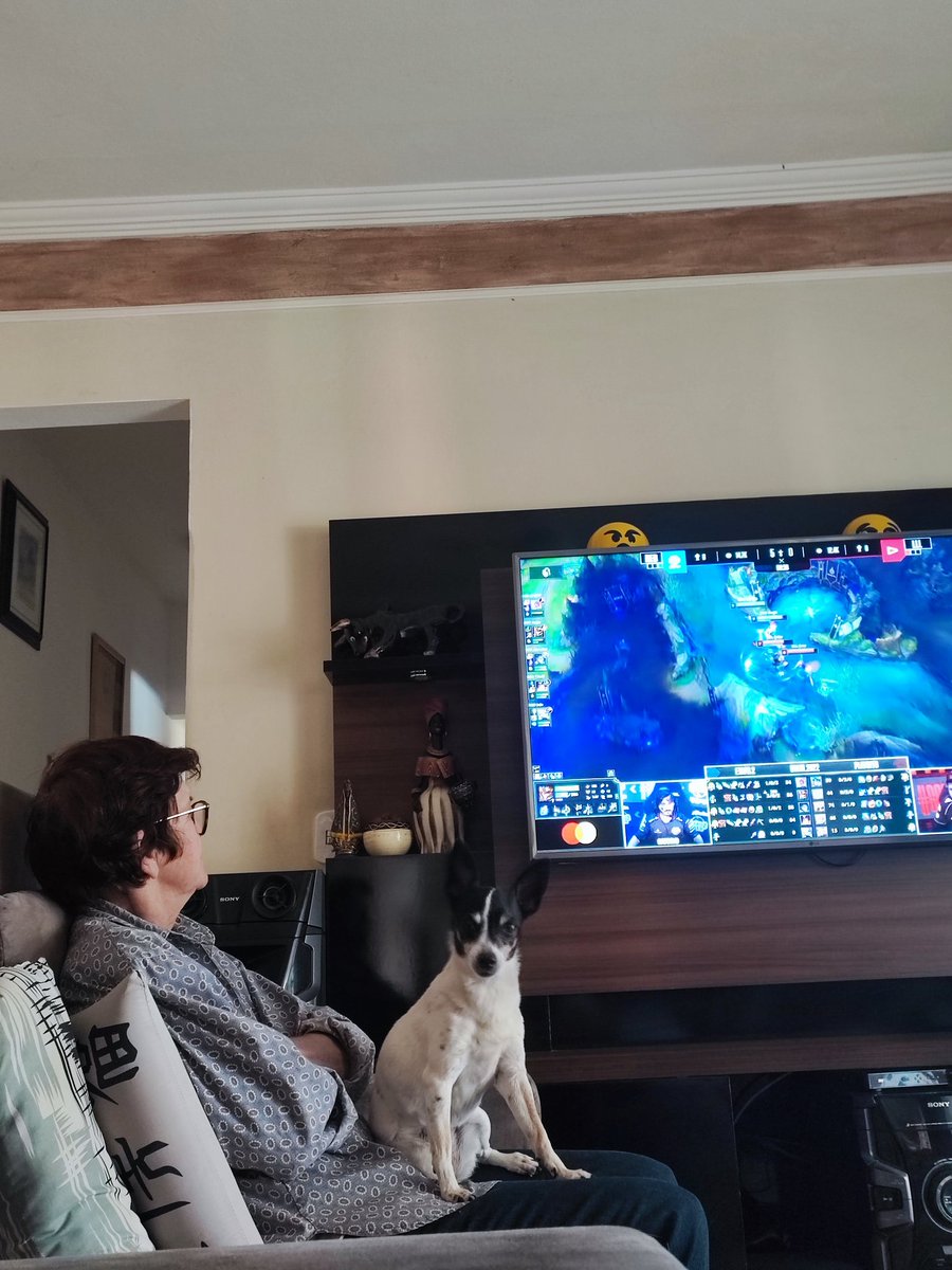 isis_belon's tweet photo. Aqui todo mundo assiste #CBLOL, até a vovó e o doguinho ❤️ @CBLOL #goLOUD https://t.co/HQoLEhmrkx