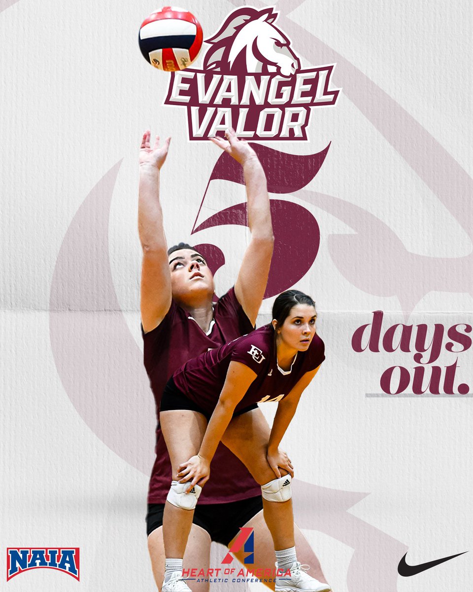 Just a pick me up for your Sunday afternoon, VB season starts in ✋ days!

#OneValor