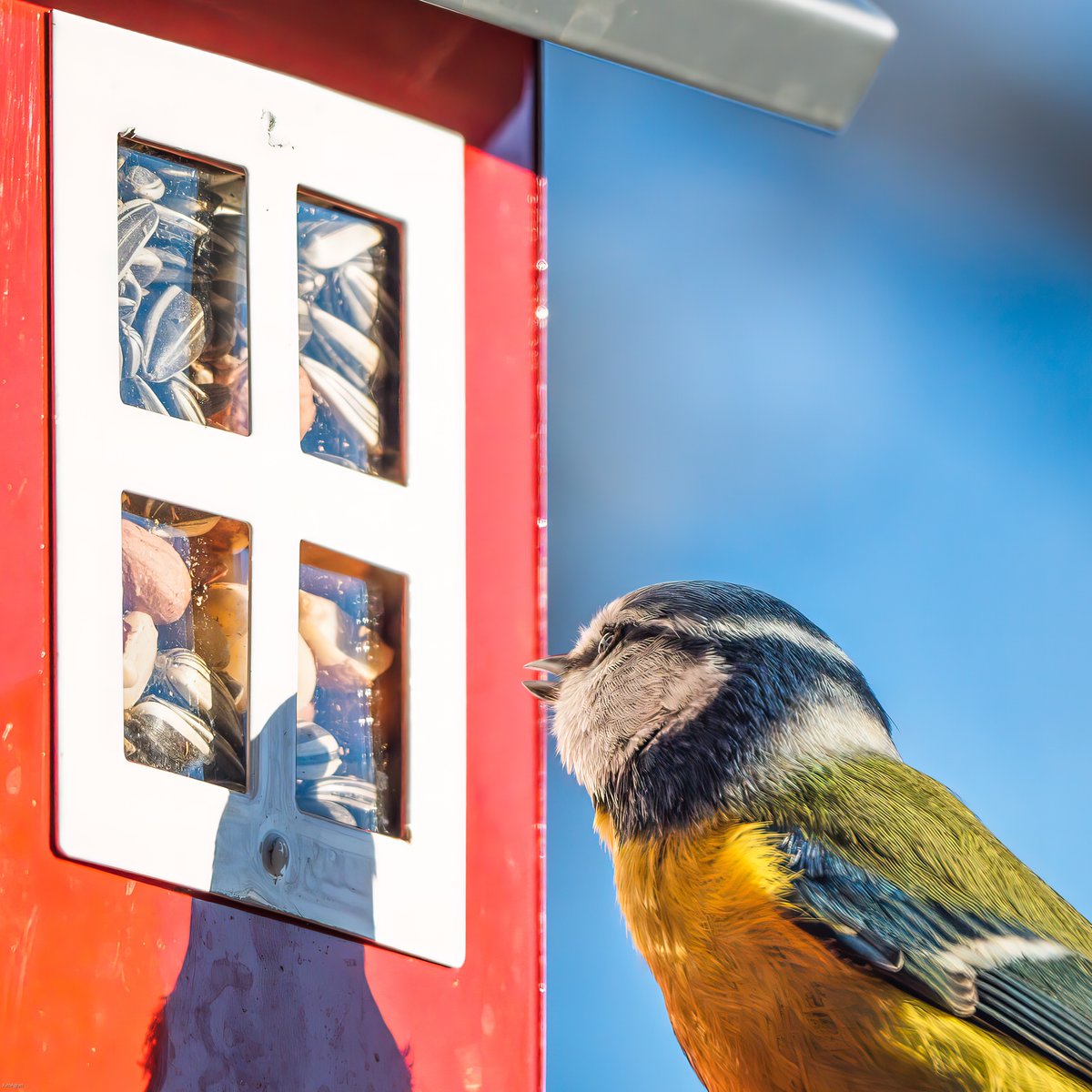 Kim Ågran tweet media