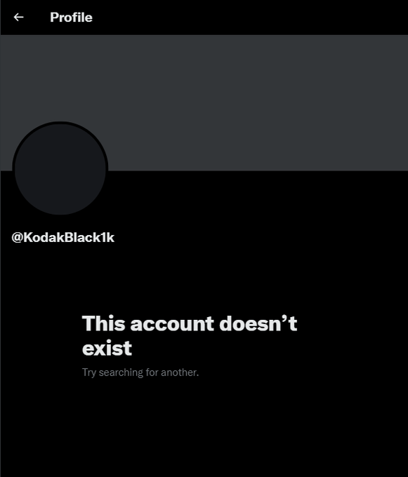 Vixbyyy's tweet photo. No way Youngboy fans made him deactivate 😭 https://t.co/QhFH34w1ja