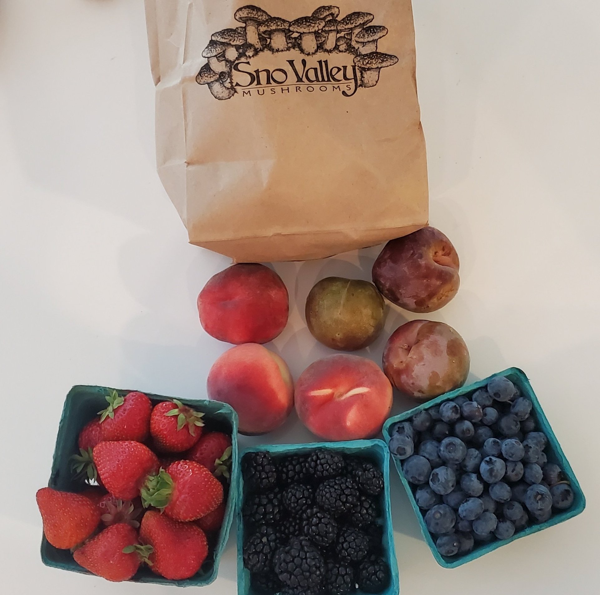 Matt Wilson on Twitter "Fruits and mushrooms from the West Seattle