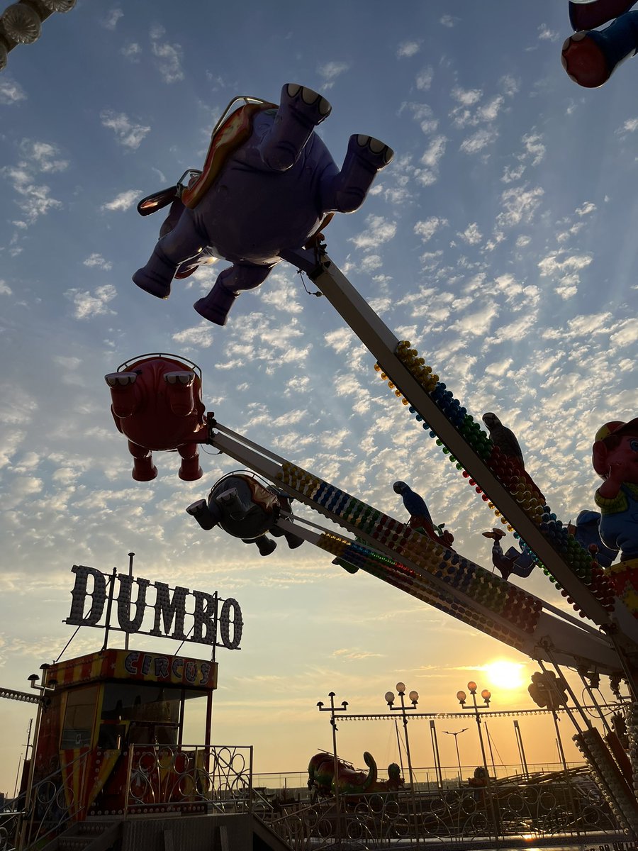 The Donnybrook Diaries tweet media