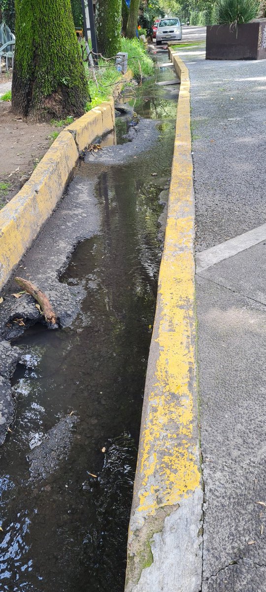 Siguen fugas de agua camino a sta. Teresa frente a parque ludico Macondo @SacmexCDMX <a href="/TlalpanAl/">Alcaldía Tlalpan</a>