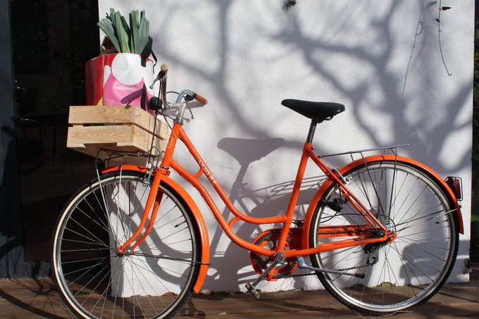 Agnès Salson tweet media