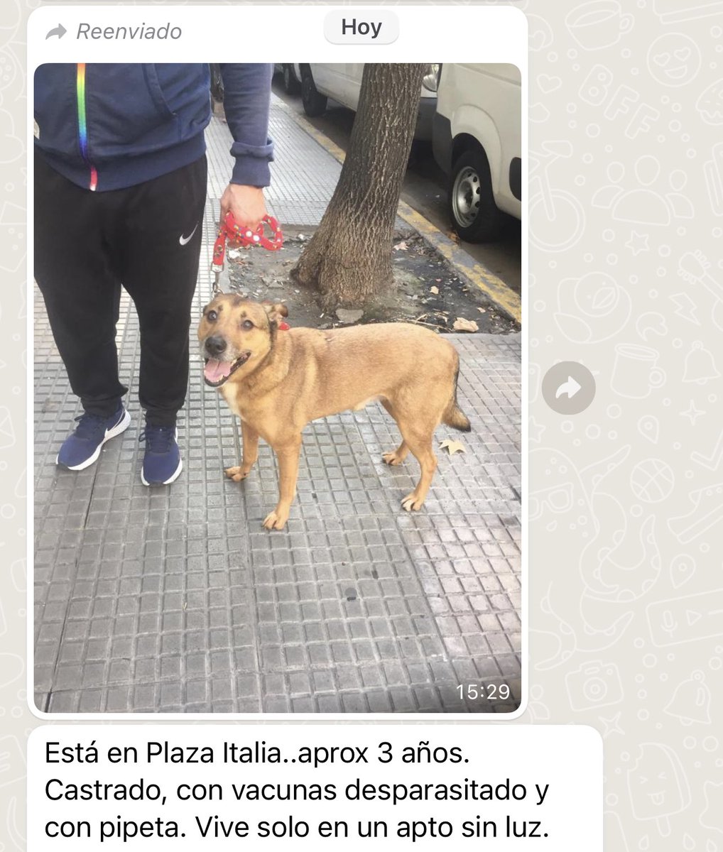 Malena tweet media