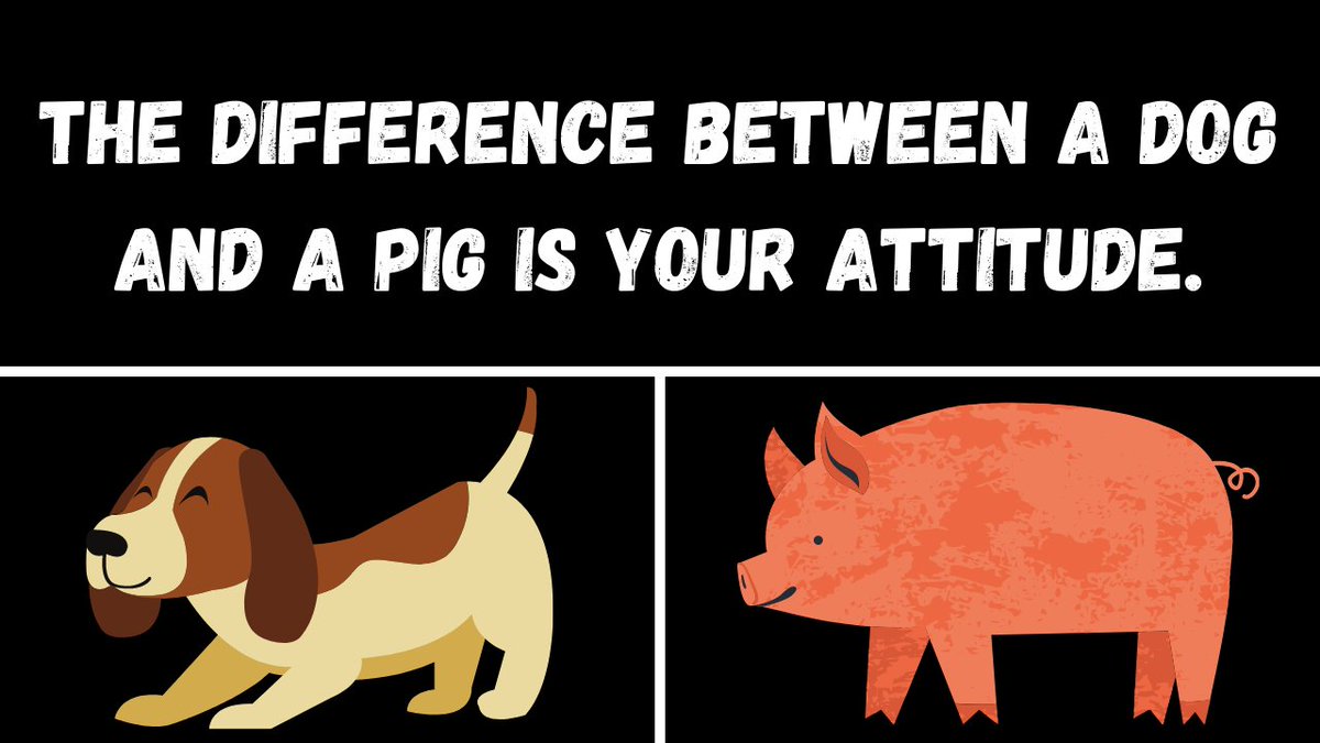 onyx9x's tweet photo. #plantbased #EndSpeciesism #AnimalRights #RescueDog #DogsAreFamily #Vegan for 🐕🐖💕#planet #health against pollutions inegualities/suffering-Cruelty..Vegan food:Various/healthy/Rich,LOT of alternatives
#Compassion #Respect #Sentience #LoveALLanimals
#Antispecism #Evolution🌍 https://t.co/Iack9HIVkD