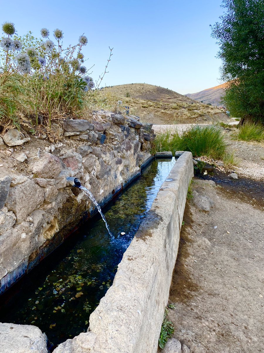 Ezgi (@ezgikubt) on Twitter photo 