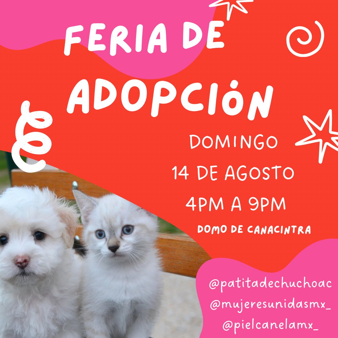 Patitadechucho's tweet photo. ¡Nos geos más tarde!

Parque bicentenario, Tuxtla Gutiérrez https://t.co/M7JOS9N3Z5