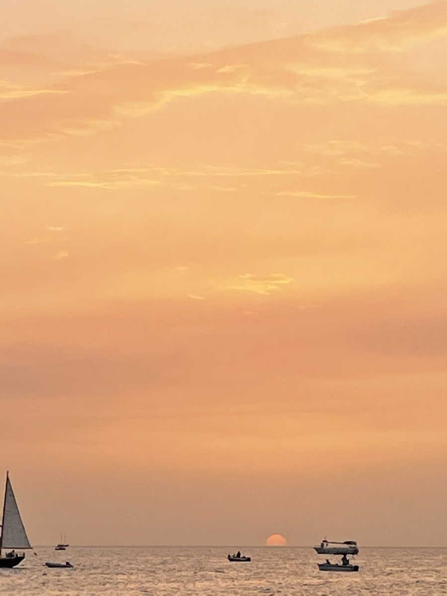 Jamie Watkins tweet media