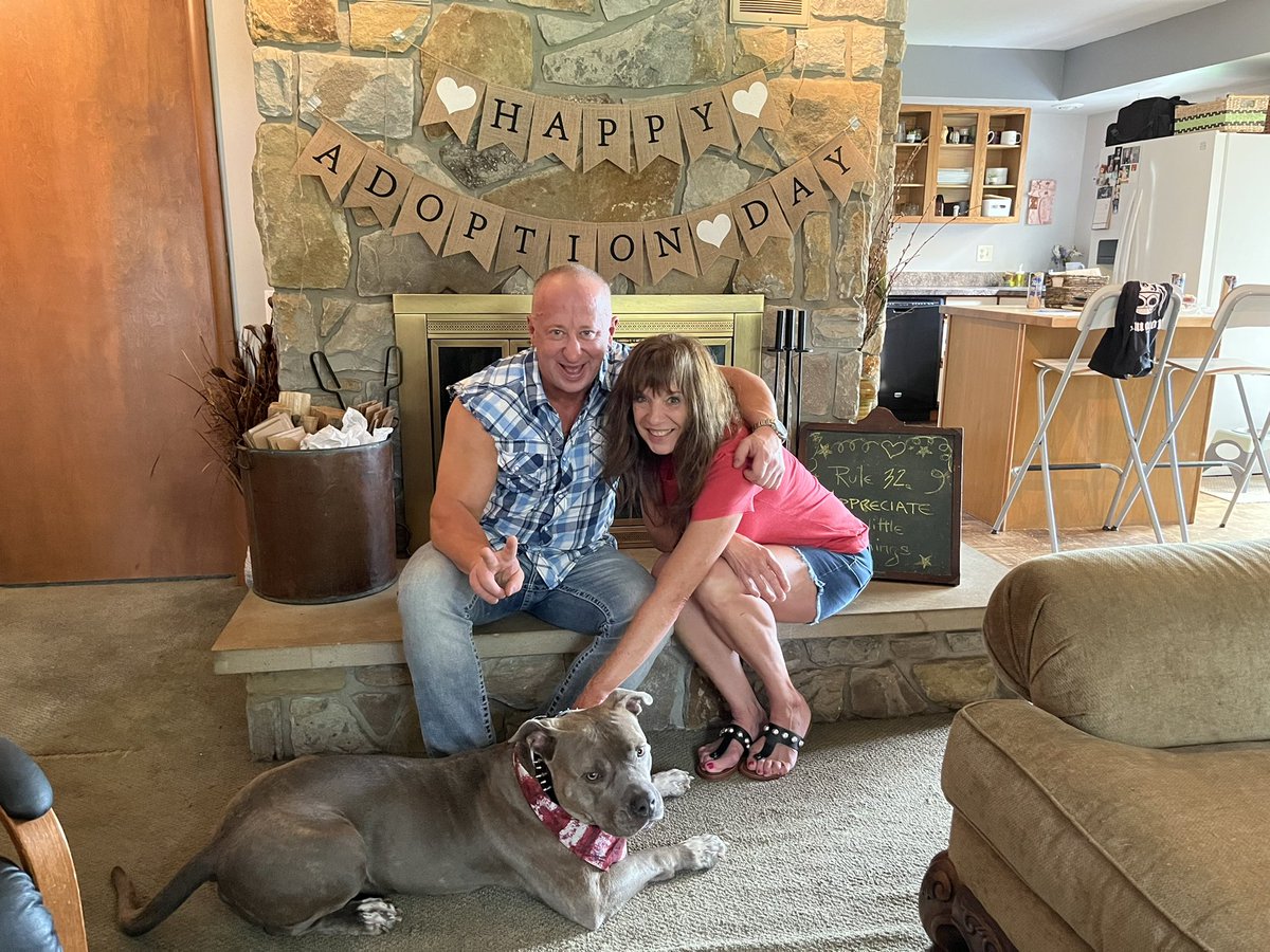 The Proper Pit Bull tweet media