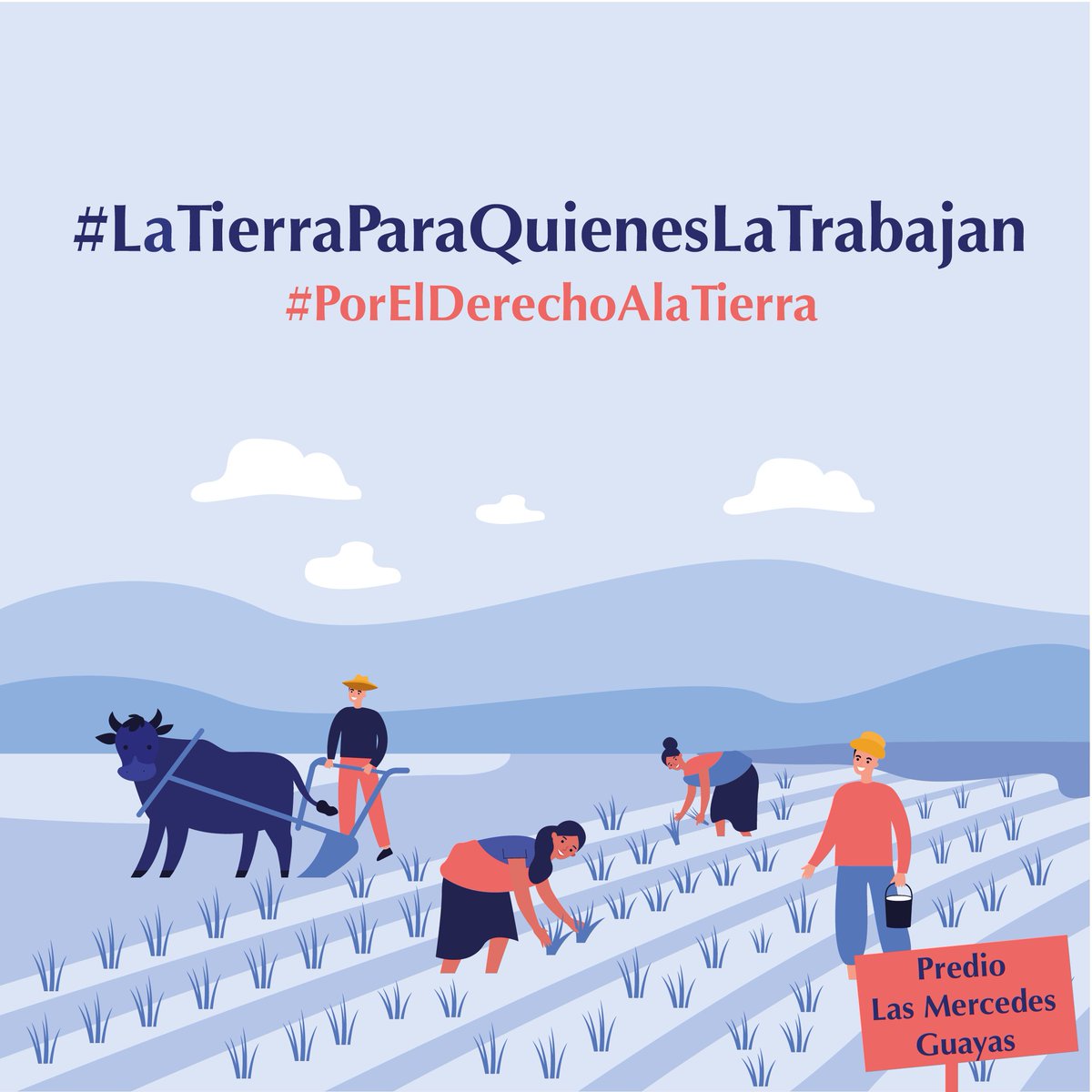 Colectivo_PRODH's tweet photo. Comunidades predio #LasMercedes (Guayas) están preocupadas por impacto que está causando la implementación de dictamen de Comité de DDHH- ONU frente a #CasoIsaias.
Temen desalojo de sus tierras inventariadas x #PlanTierras desde 2008 #TierraParaQuienesLaTrabajan @Presidencia_Ec https://t.co/iA1DvNAlwe