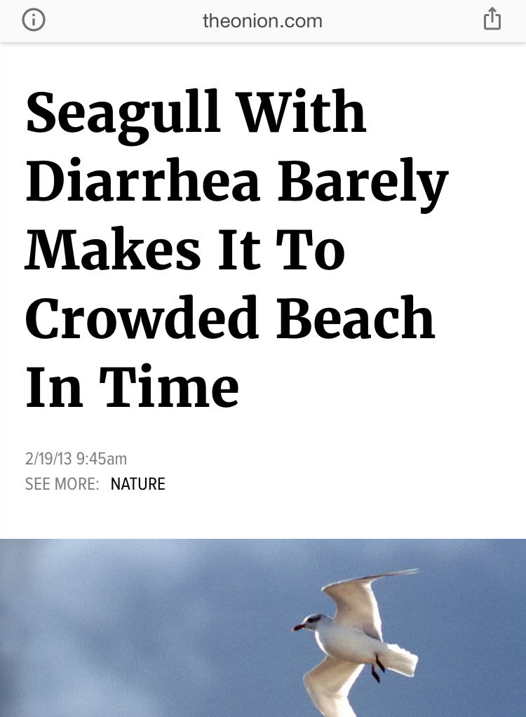 Still one of my all-time favorite Onion headlines.