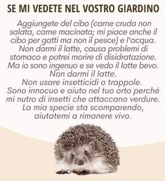 annamariamoscar's tweet photo. 🦔🦔🦔🦔🦔 https://t.co/YMEEXFZb1o