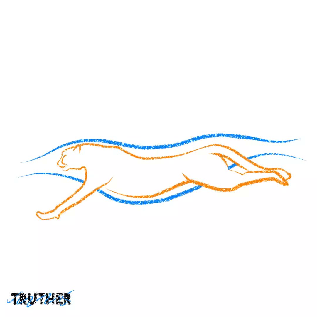 TRUTHERINC's tweet photo. Maclaren P1 inspired by a cheetah / TRUTHER

#truther #cars #car #design #animals #information #didyouknow #biomimicry #draw #cheetah #learning #learn #science #aerodynamics #wild #wildlife #safari #savage #lion #jaguar #photography #world #knowledge https://t.co/G7Hsk02jFM