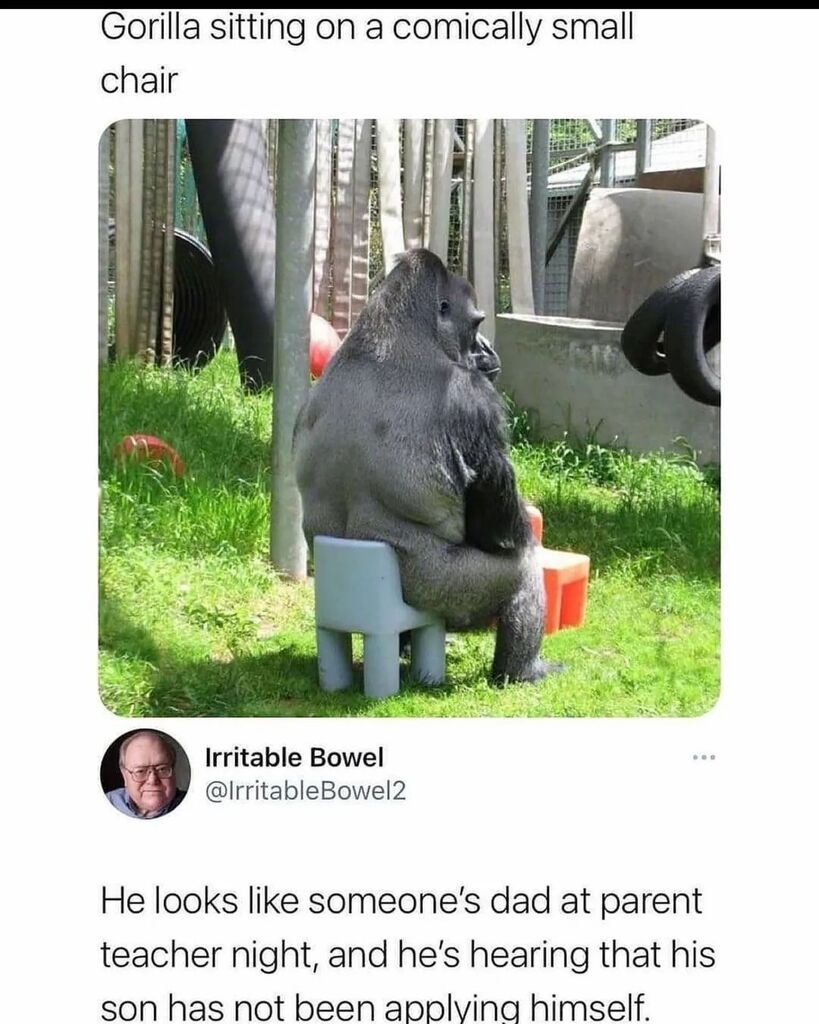 badsciencejoks's tweet photo. You can do better than this, Martin.
---
#youhearthat #martin? #apply #yourself
#badsciencejokes #space #science #scientists #sciencejokes #realscience #math #mathjokes #gorilla https://t.co/nc5jYI1LNC https://t.co/1O8w6U0mUS